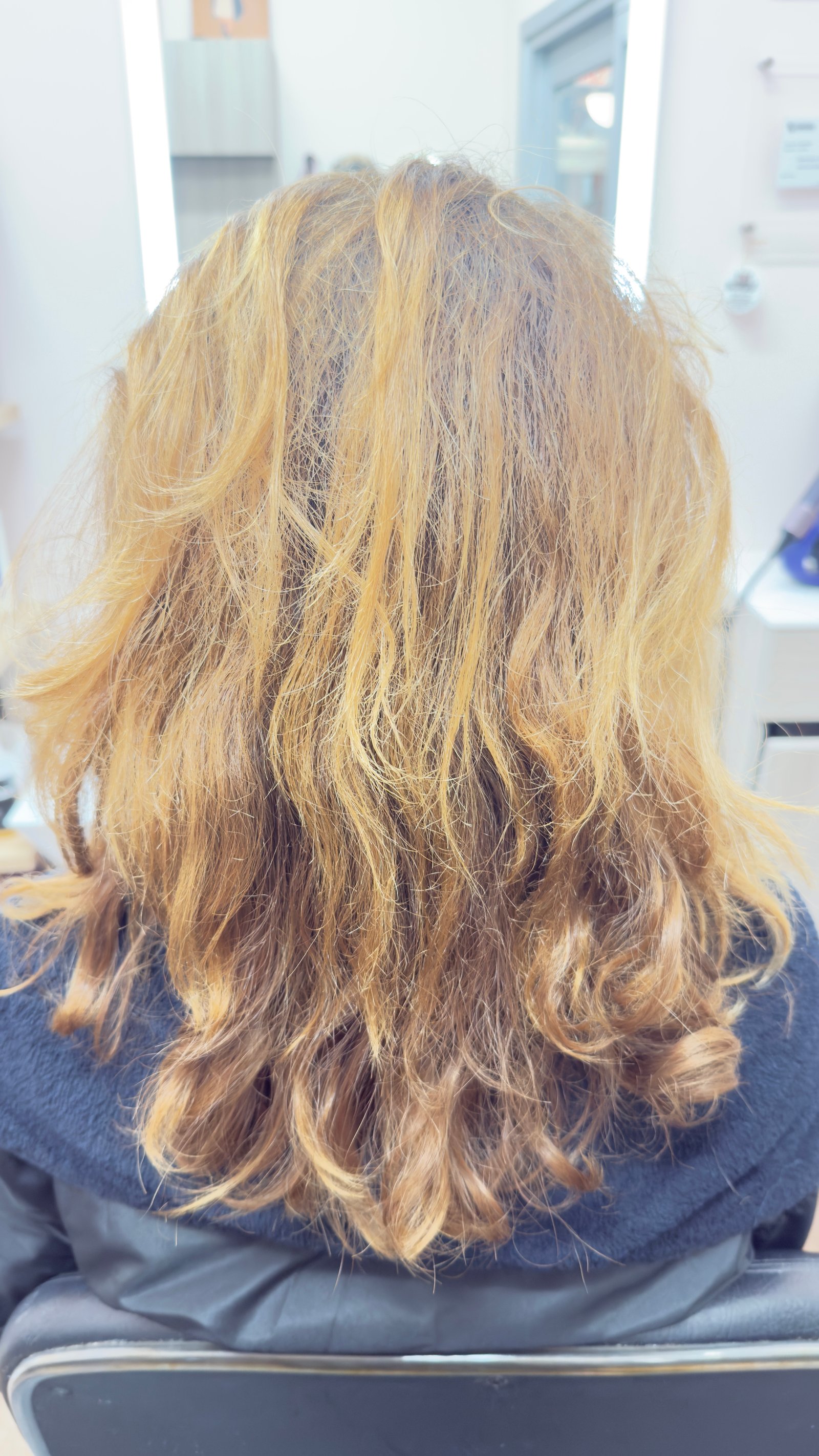 Before Hair Botox treatment for dry frizzy hair